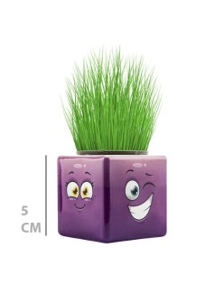 MİNİ KÜP ÇİMOJİ ÇİMADAM 32'Lİ