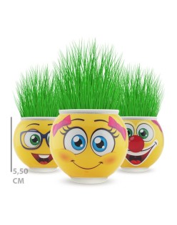 KUTULU YUVARLAK ÇİMOJİ ÇİMADAM 24'LÜ