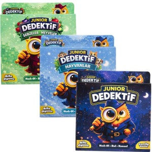 MİNİ DEDEKTİF HAFIZA OYUNU