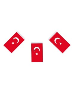 ORTA İPLİ AY YILDIZ BAYRAK VT-807