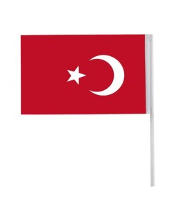 KÜÇÜK ÇITALI AYYILDIZ BAYRAK 80'Lİ 12CM*20CM VT-801