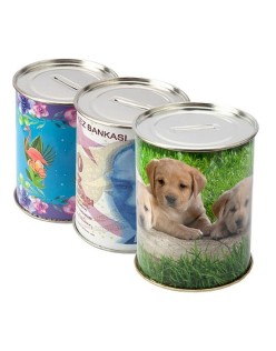 ŞEHZADE MİNİ TENEKE KUMBARA 12'Lİ ŞHZ-Tn2#